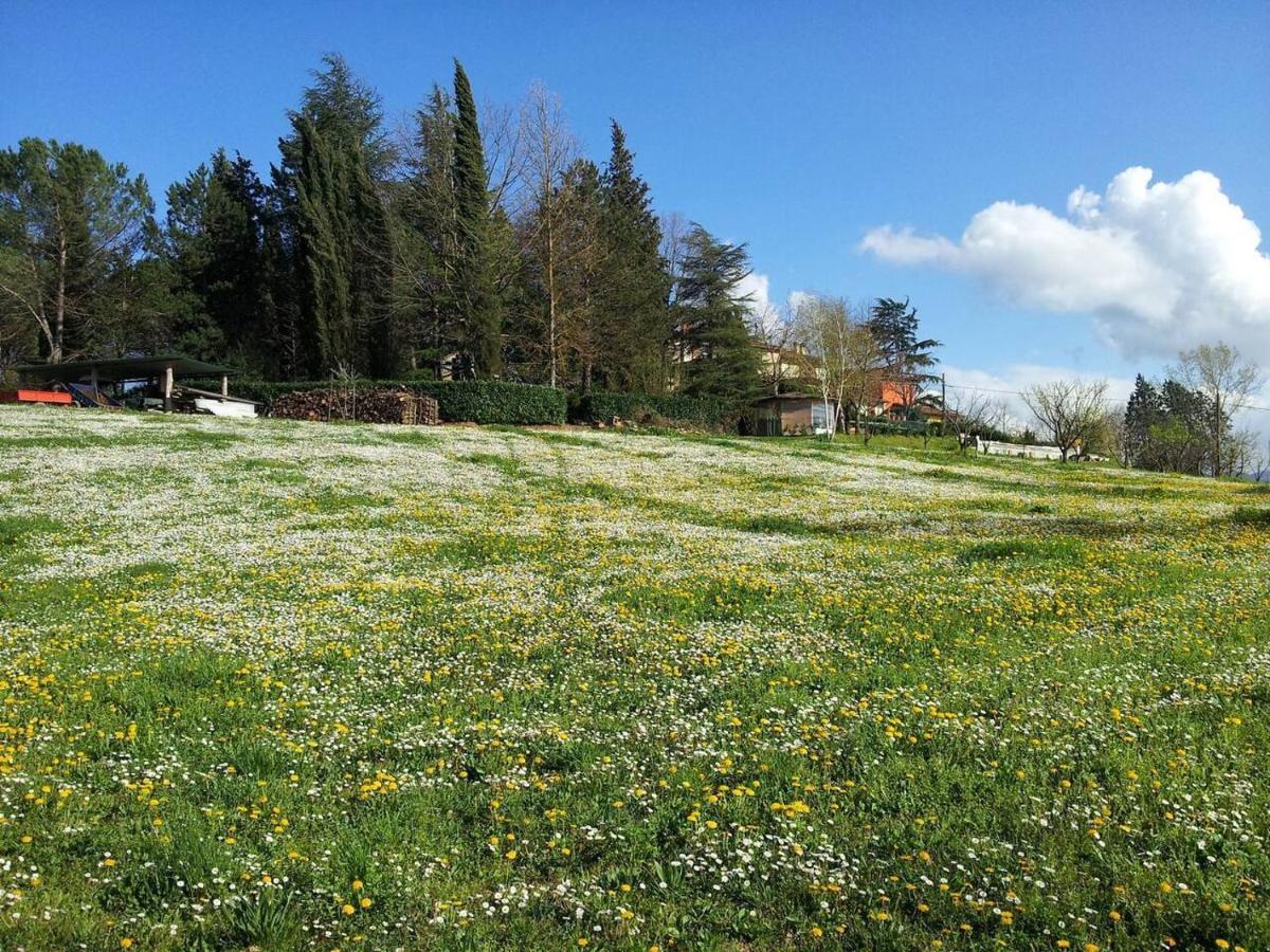 Tuscan Hills Near Florence - Stone House Vicchio Exterior foto