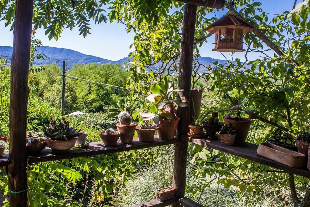 Tuscan Hills Near Florence - Stone House Vicchio Exterior foto