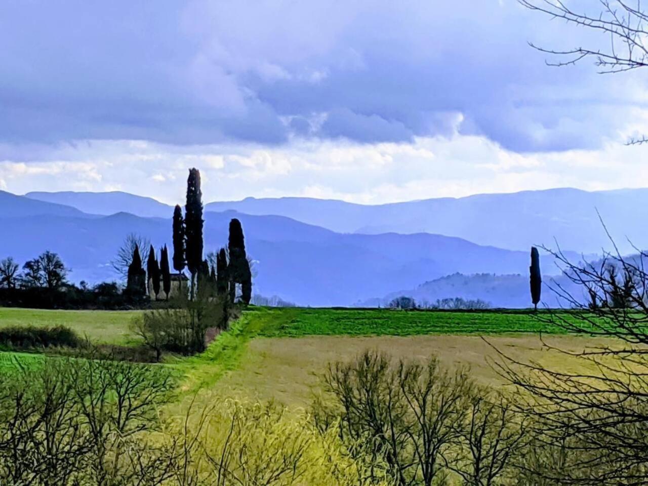 Tuscan Hills Near Florence - Stone House Vicchio Exterior foto